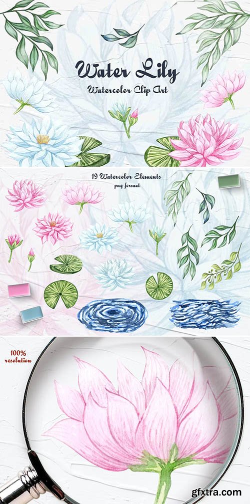 Water Lily Clipart