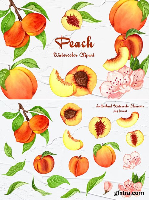 Peach Watercolor Clipart