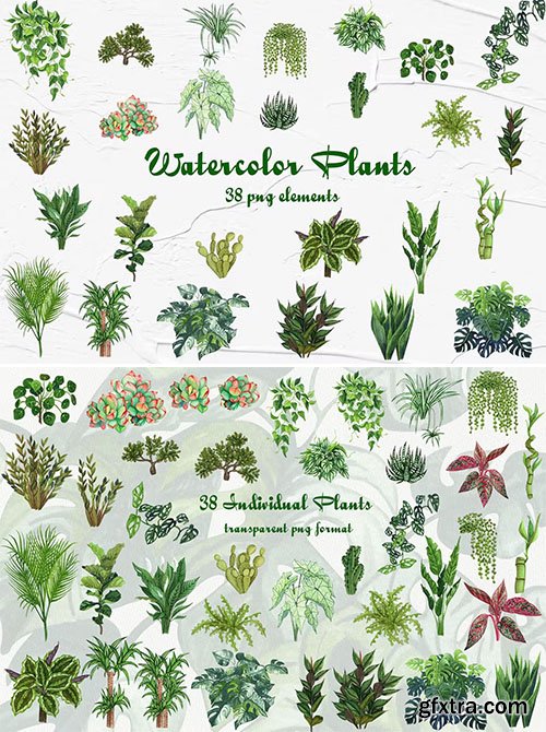 Watercolor Houseplants Clipart