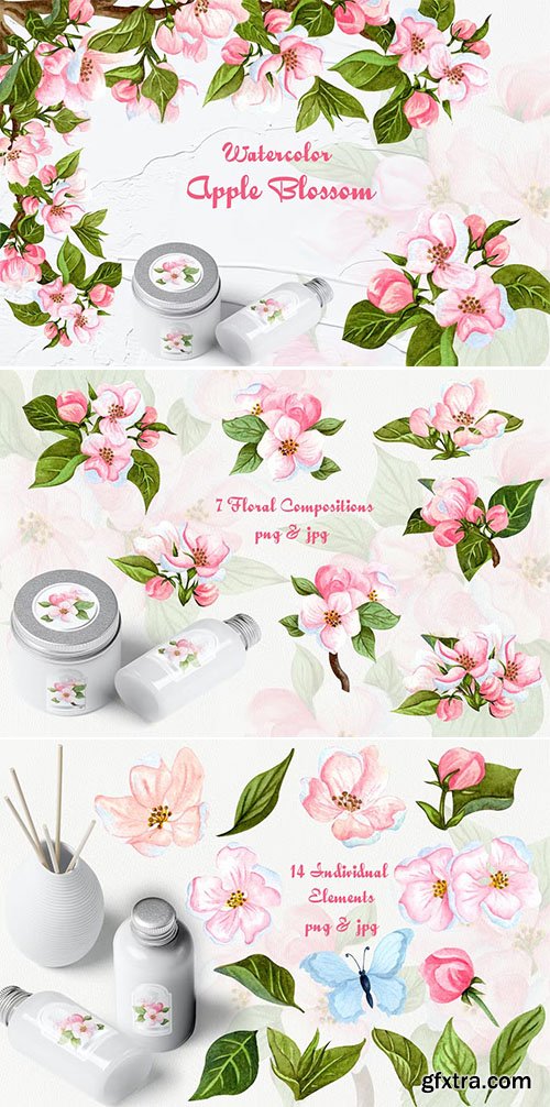 Apple Blossom Watercolor Clipart