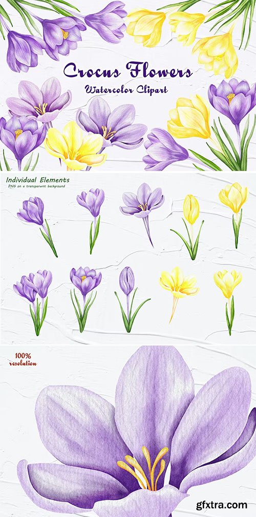 Crocus Clipart, Spring Flowers PNG