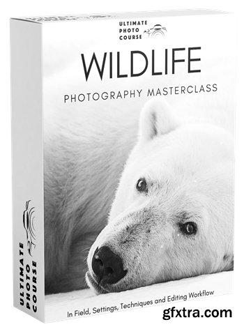 Ultimate Photo Course - The Ultimate Wildlife Photography Bundle