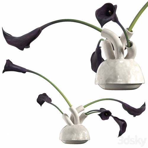 '3dsky Pro - bouquet of calla lilies'
