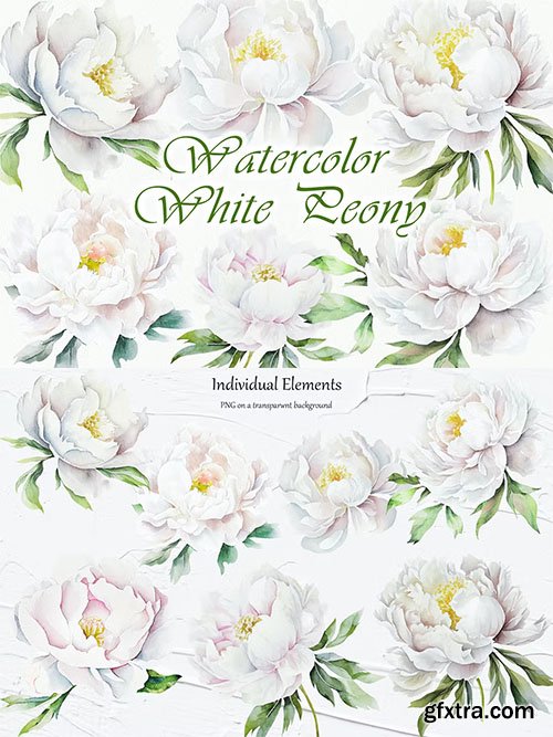 White Peony Watercolor Clipart