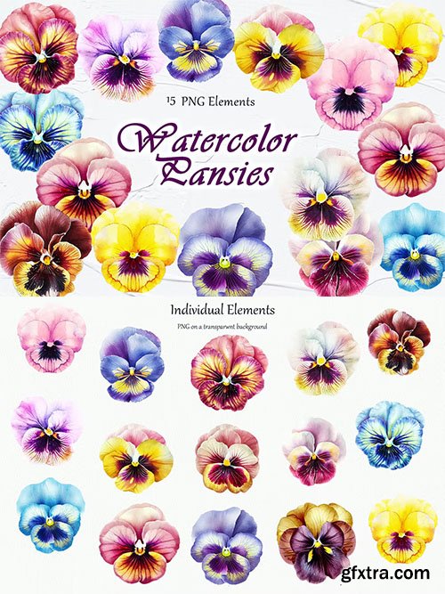 Pansy Flowers Watercolor Clipart