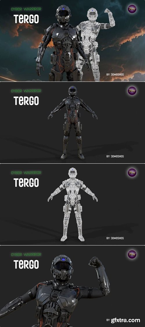 Renderhub - Cyber Warrior - Tergo 3D Model