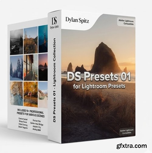 Dylan Spitz - DS Presets 01 for Lightroom Presets