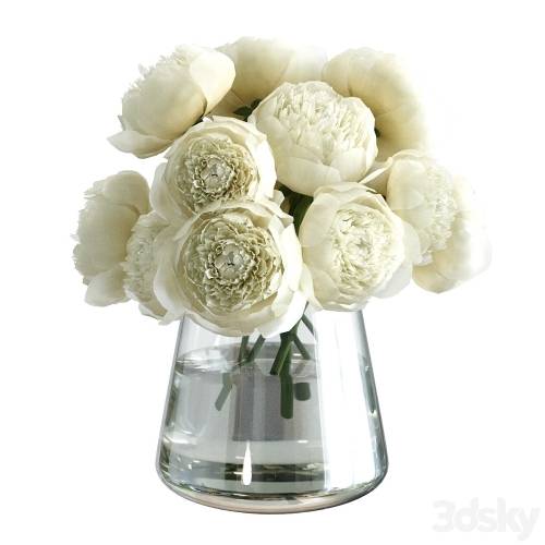 '3dsky Pro - Bouquet of peonies in a vase' '3dsky Pro - Bouquet of peonies in a vase'