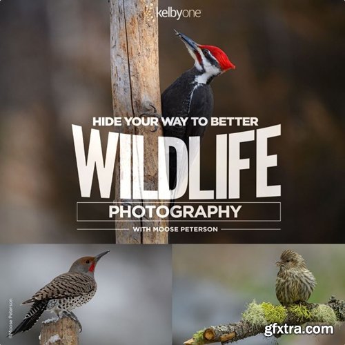 KelbyOne - Hide Your Way To Better Wildlife Photography