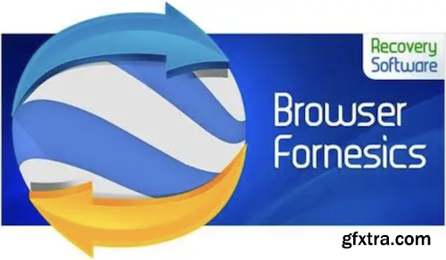 RS Browser Forensics 4.1