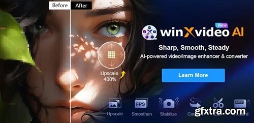 Winxvideo AI 4.8