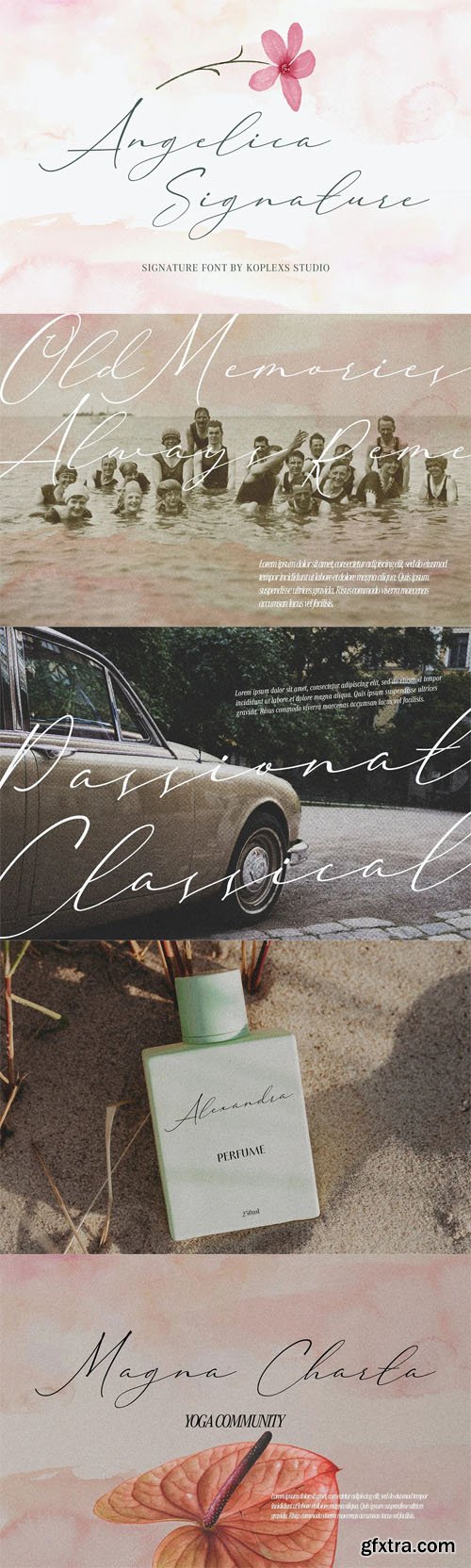 Angelica Signature - Modern Script Font