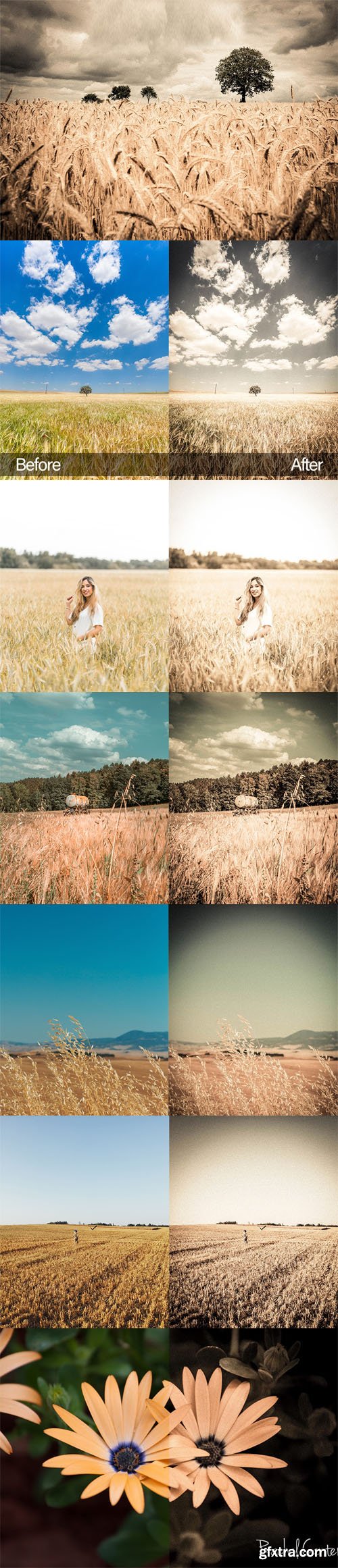 Grain It Up - Mobile & Desktop Lightroom Presets