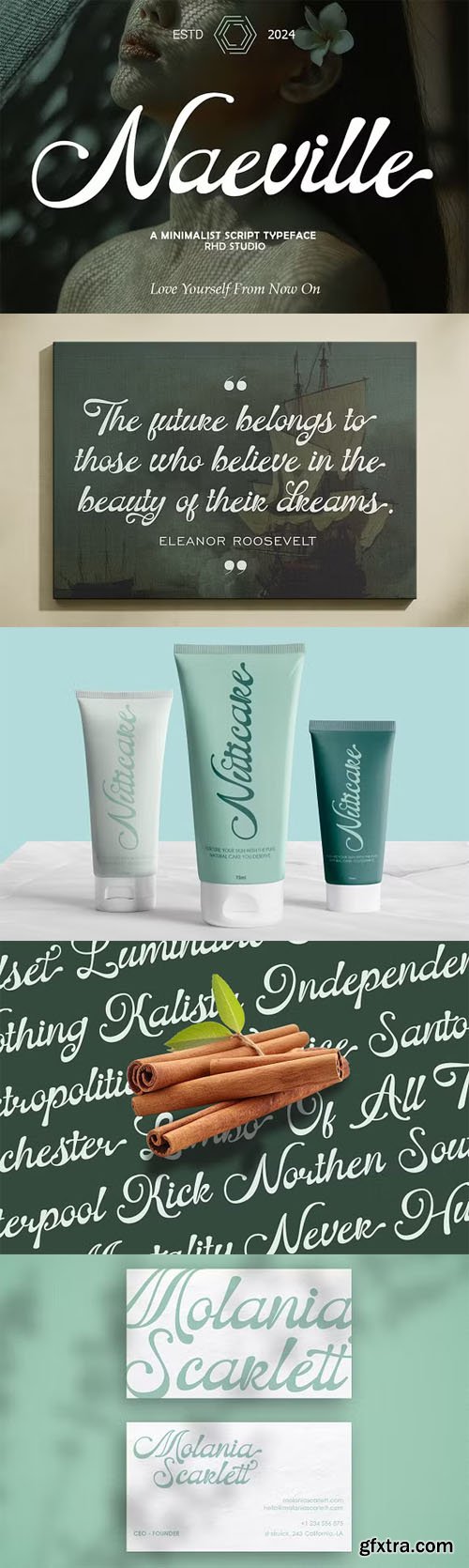 Naeville - Modern Classic Style Script Font