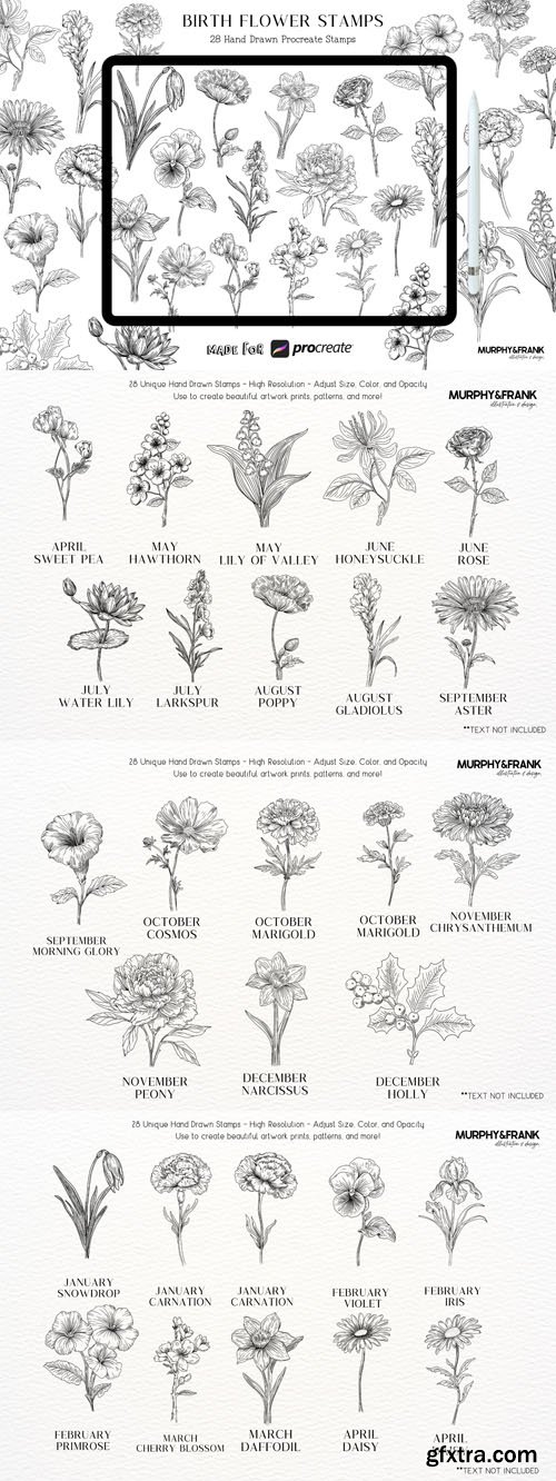 Birth Flower Stamp Brushes for Procreate