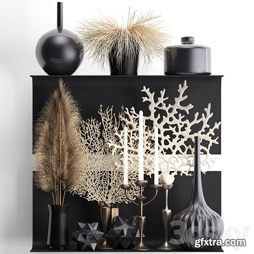 3dsky Pro - A collection of bouquets of dried flowers in vases on a black metal shelf with pampas, coral, Cortaderia, candlestick. Set 12.