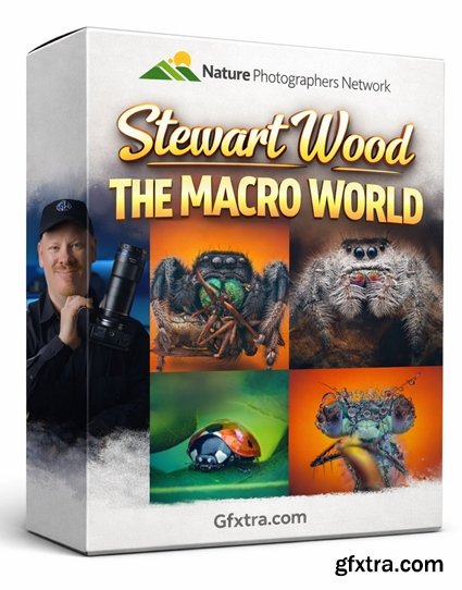 Nature Photographers Network - Stewart Wood - The Macro World