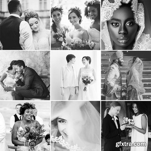 Phlearn - Black and White Wedding LUTs for Photo & Video