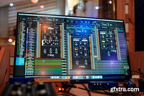 Moog Music Plugins Bundle 2024