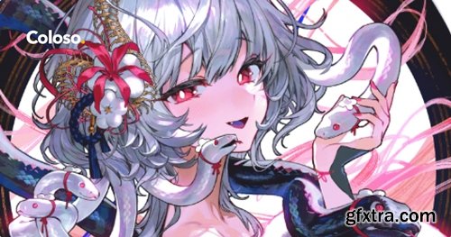 Coloso - Practical Illustration Guide for Self-Learners