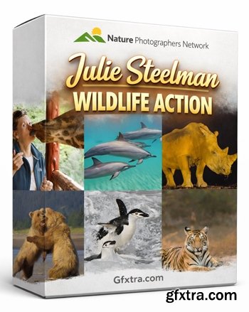 Nature Photographers Network - Julie Steelman - Wildlife Action