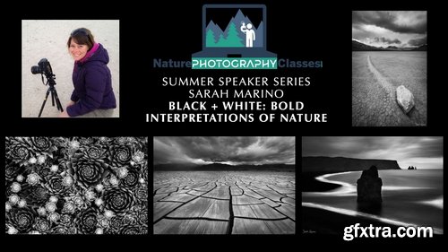 Naturephotocollective - Sarah Marino - Black + White: Bold Interpretations of Nature