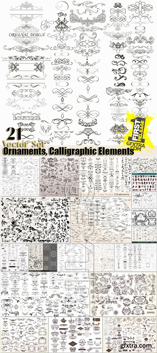 Vintage patterns, ornaments, calligraphic elements