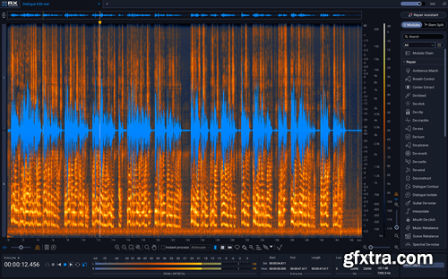 iZotope RX 12 Audio Editor Advanced v12.0.0