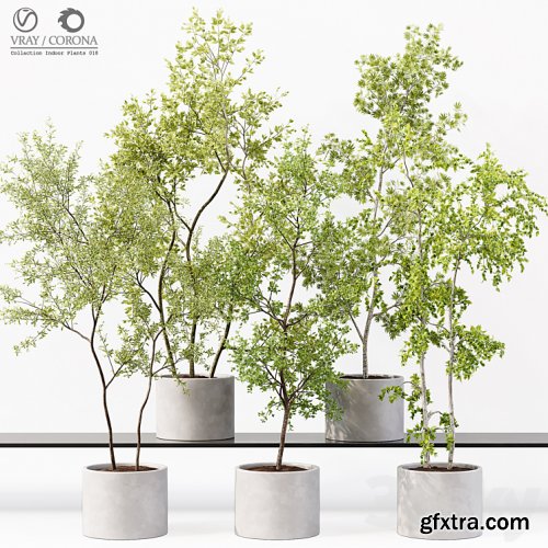 3dsky Pro - Collection Indoor Plants 018