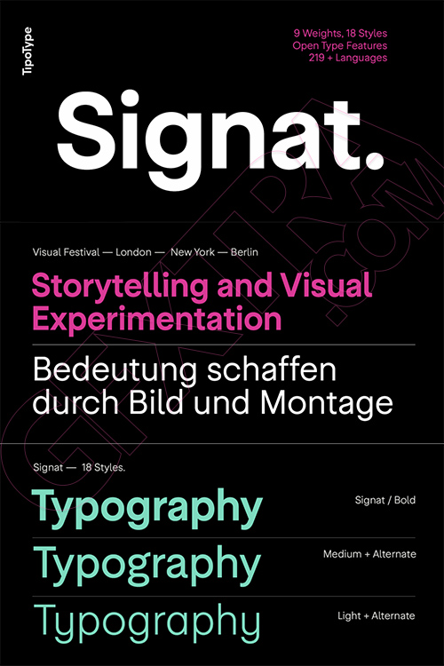 Signat - 18 Styles Font Family by TipoType NEW!