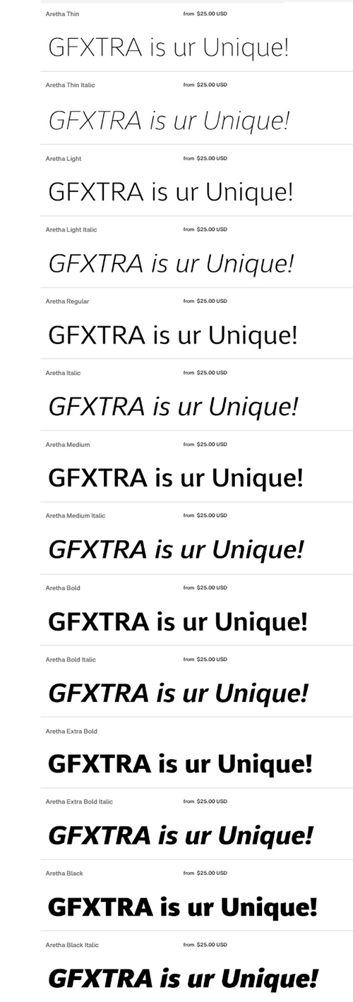 Aretha - 14 Styles Font Family