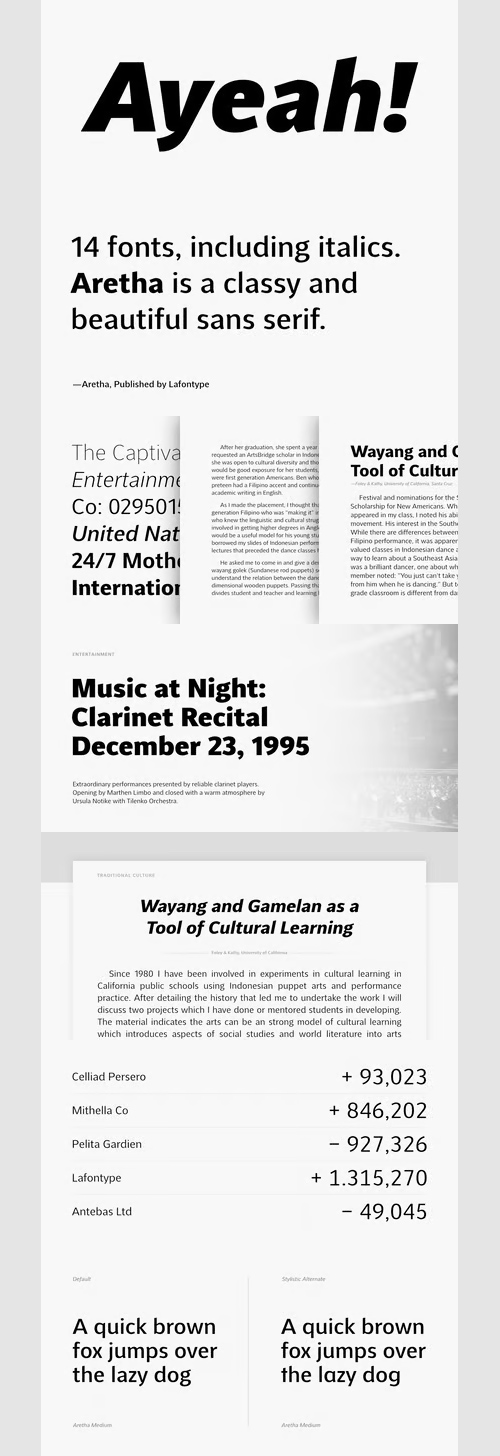 Aretha - 14 Styles Font Family