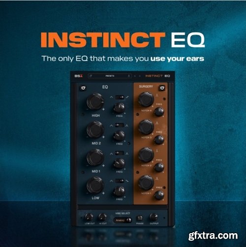 Black Salt Audio Instinct EQ v1.0.0