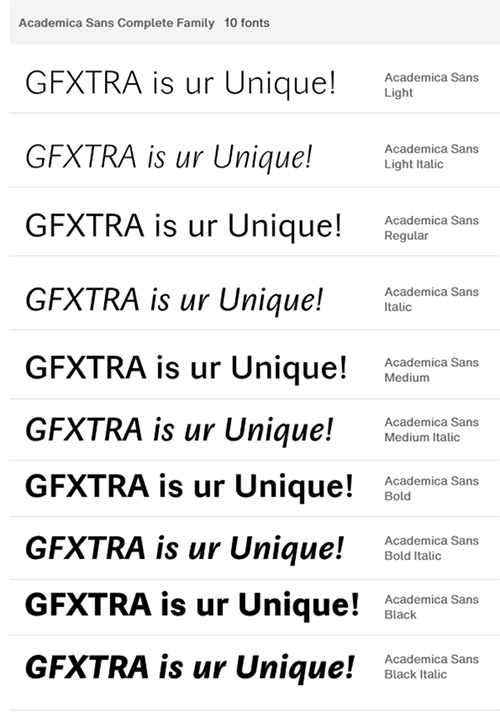 Academica Sans - 10 Styles Font Family