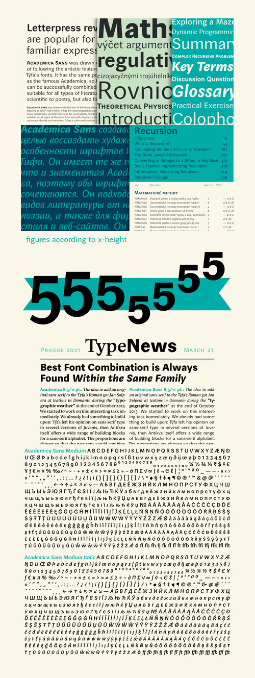 Academica Sans - 10 Styles Font Family