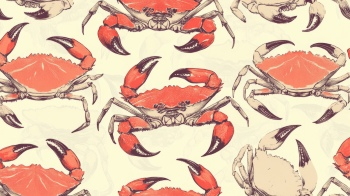 Nautical Backgrounds 29xJPEG