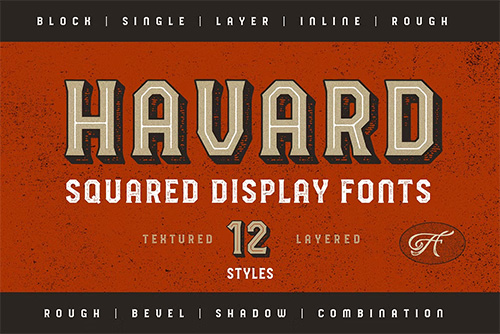 HAVARD DISPLAY - SQUARED &amp; LAYERED 12 STYLES 4000742