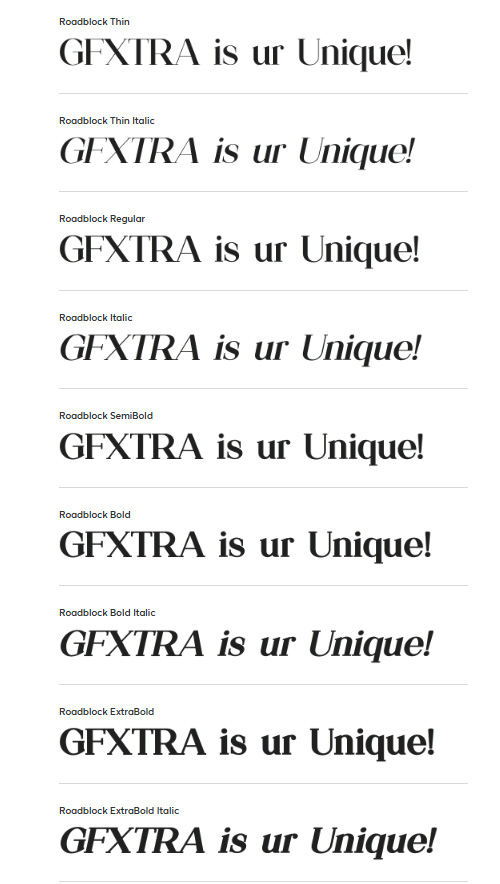 Roadblock Serif Font - 9 Styles Roadblock Serif Font - 9 Styles
