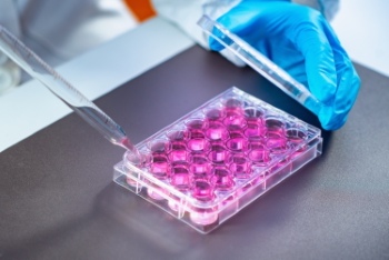 Molecular Biology 31xJPEG, 3xPNG, 2xAI