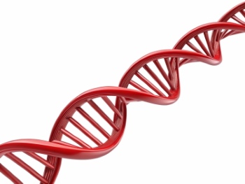 Molecular Biology 31xJPEG, 3xPNG, 2xAI