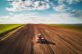 Agriculture #3, 29xJPEG. 3xAI