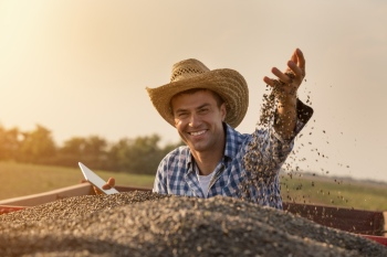 Agriculture #3, 29xJPEG. 3xAI