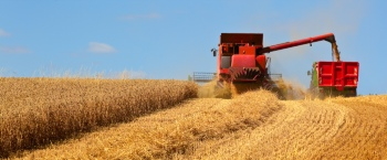 Agriculture #3, 29xJPEG. 3xAI