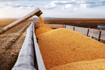 Agriculture #3, 29xJPEG. 3xAI
