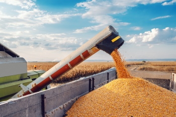 Agriculture #3, 29xJPEG. 3xAI