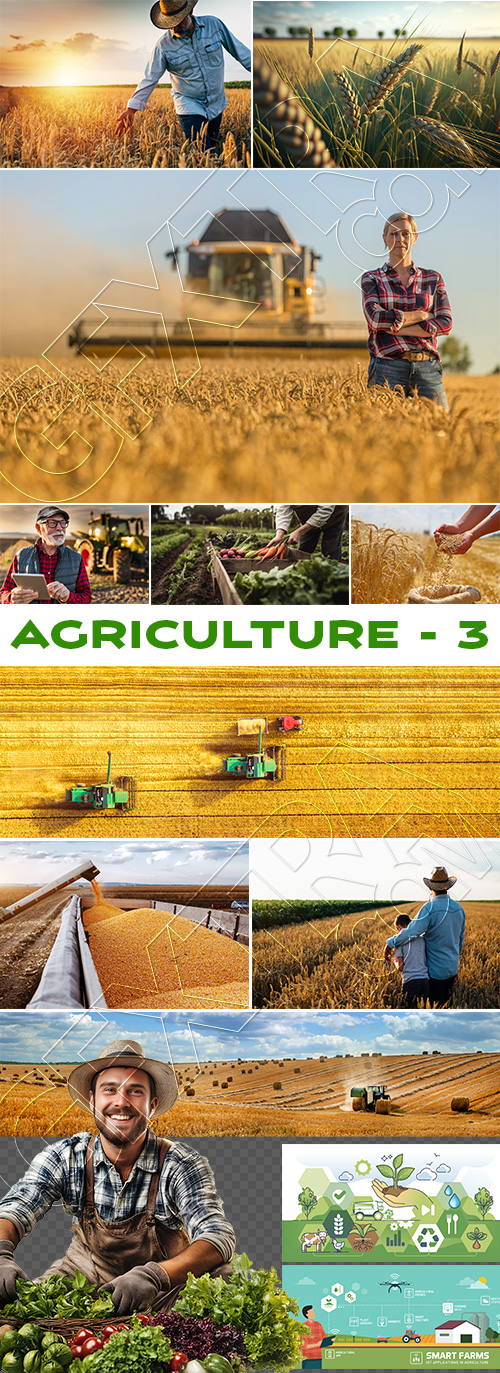 Agriculture #3, 29xJPEG. 3xAI