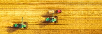 Agriculture #3, 29xJPEG. 3xAI