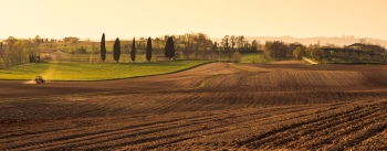 Agriculture #3, 29xJPEG. 3xAI