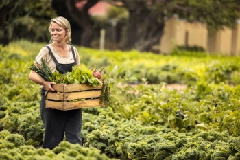Agriculture #3, 29xJPEG. 3xAI