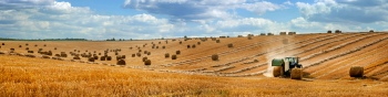Agriculture #3, 29xJPEG. 3xAI